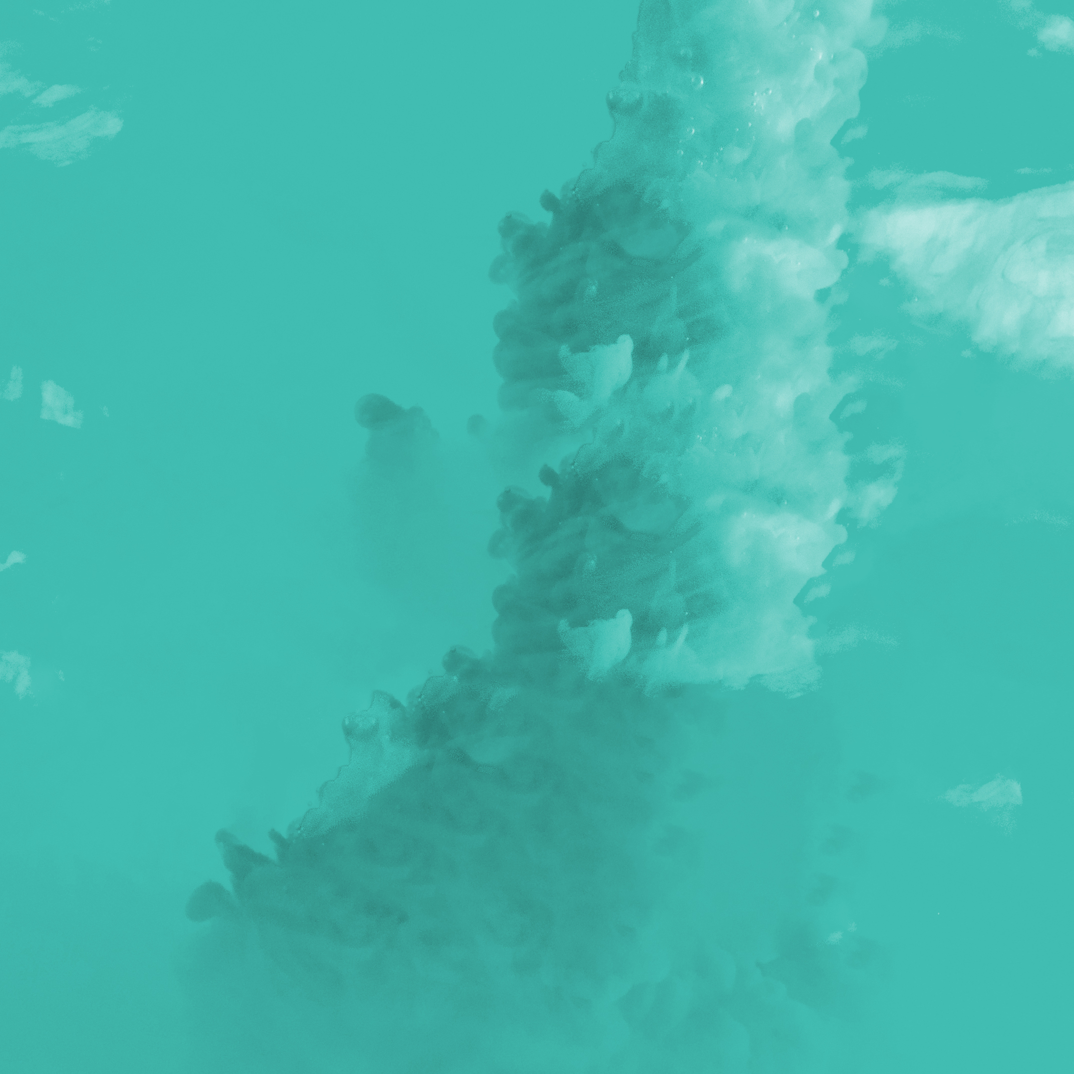 WhatsApp and SMS Marketing